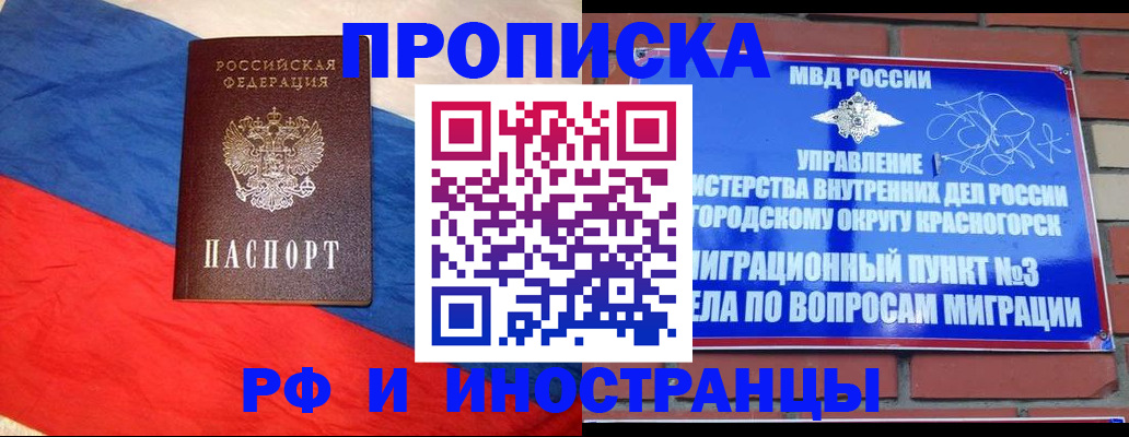 временная регистрация для всех в Курской области